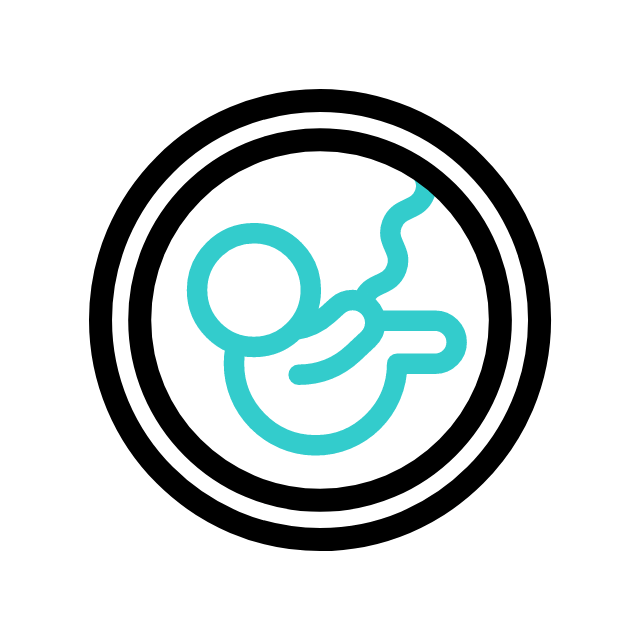 Gynaecology icon